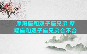 摩羯座和双子座兄弟 摩羯座和双子座兄弟合不合